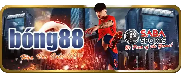 Chương trình VIP 888to chính thức